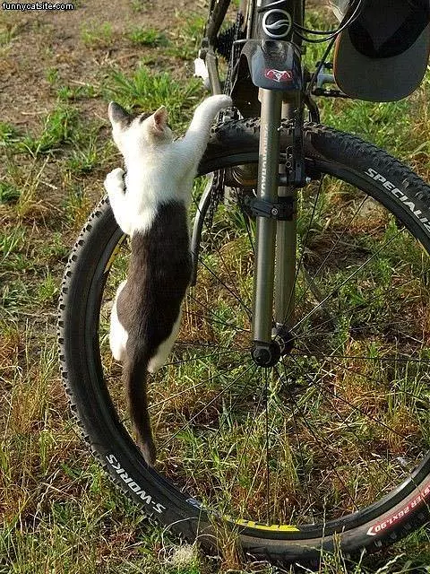 Bike Attacker