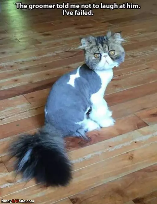 Do Not Laugh