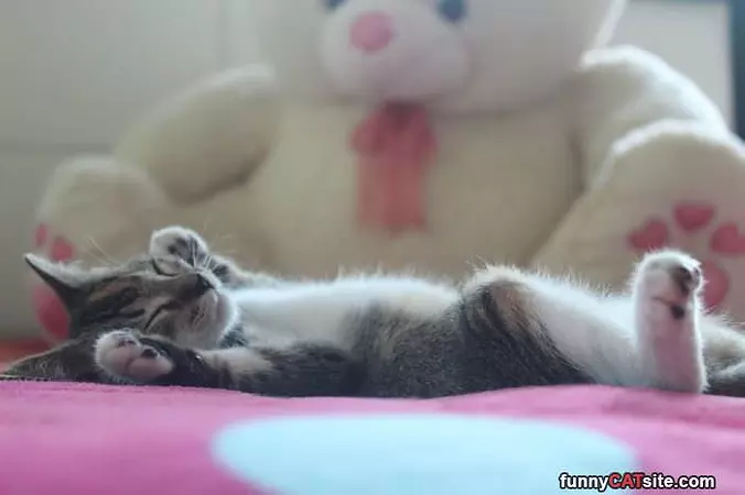 Big Dreams