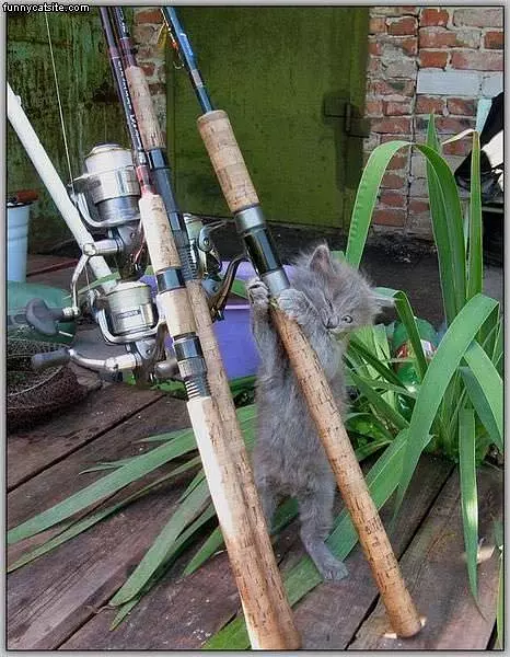 Must Go Fishing