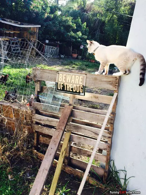 Beware