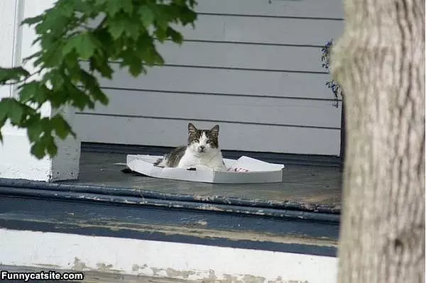 Warm Box