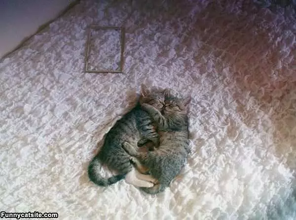 Hugs Time