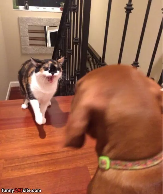 You Back Off