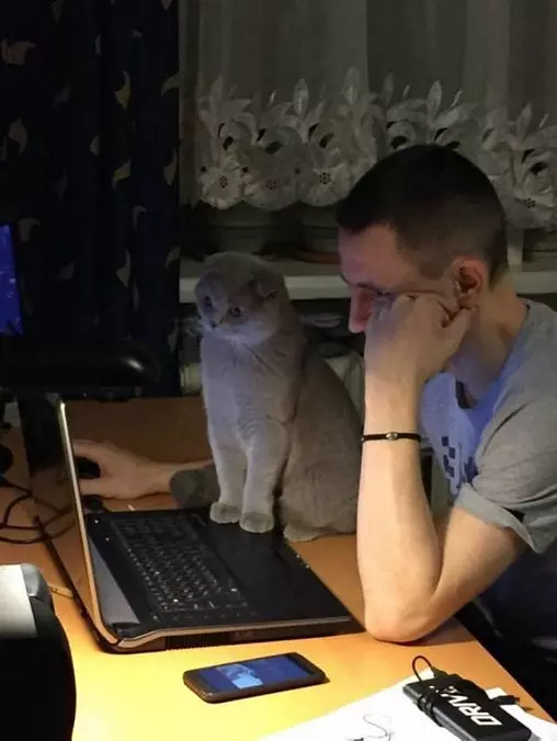 What Are We Watchinghere