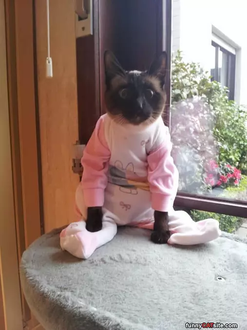 In My Pajamas