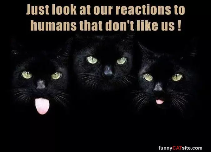 We Do Not Care