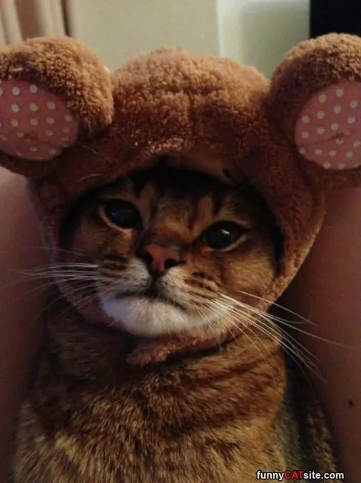 Well My Head Is Warm