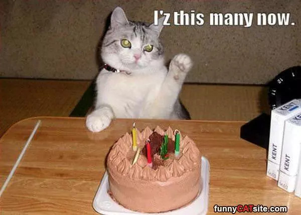 This Many Now