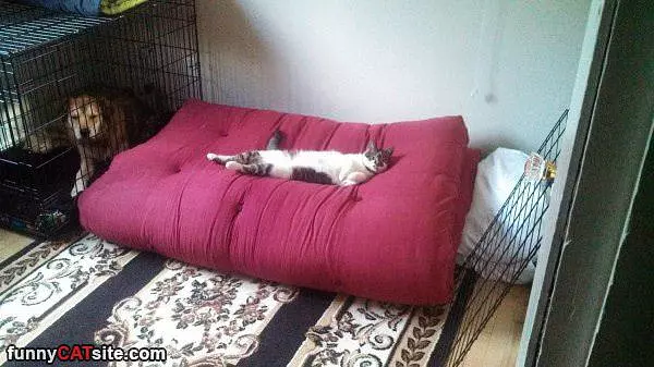 Chillin In My Bed