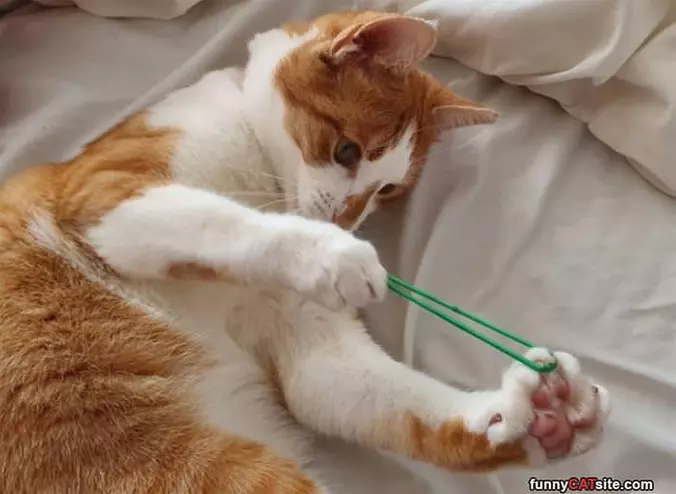 Shooting The Rubber Band