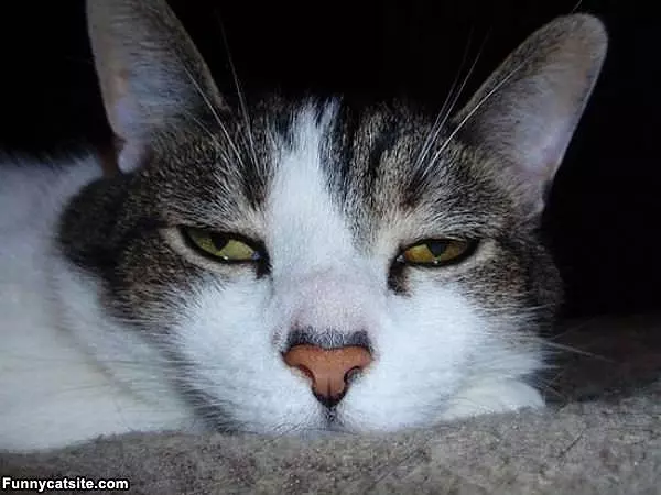 Out Of Energy Today