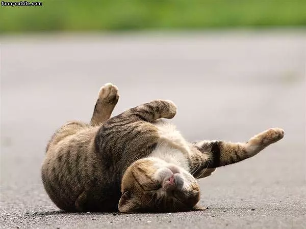 Very Relaxed