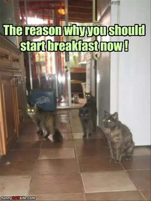 Start Breakfast Now