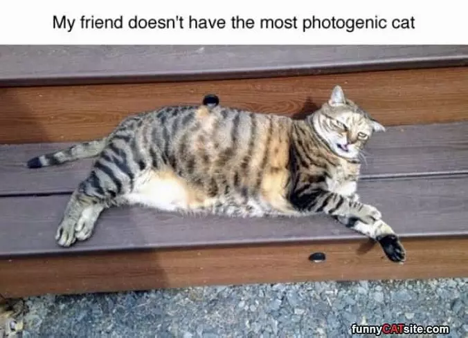 Not The Most Photogenic