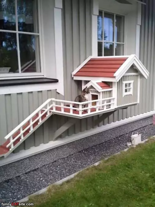 I Have My Own Cat House