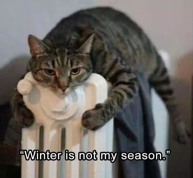 Winter Is Not My Season