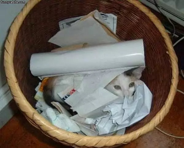 Im Hiding