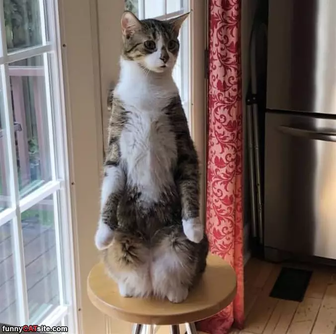 Sitting Up Right