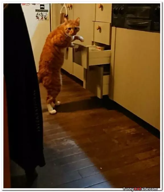 Getting A Sip