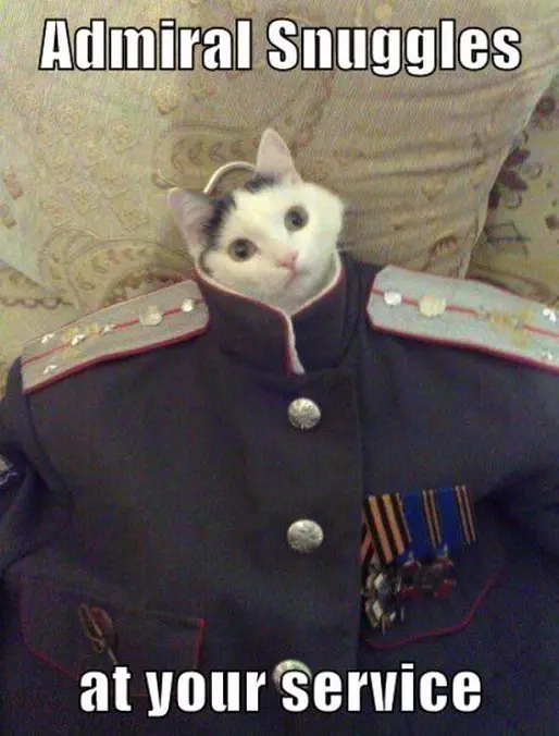 Admiral Snuggles