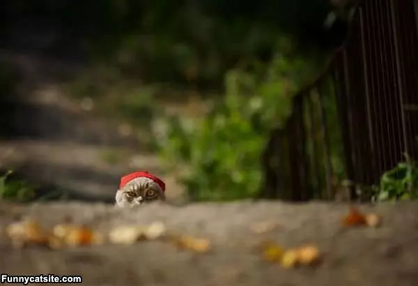 I See You