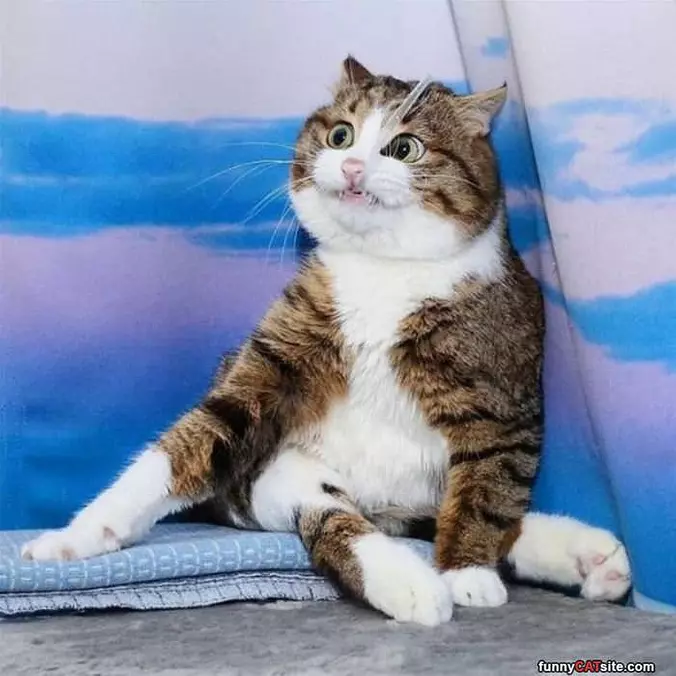 You Saw Wahaaaaa