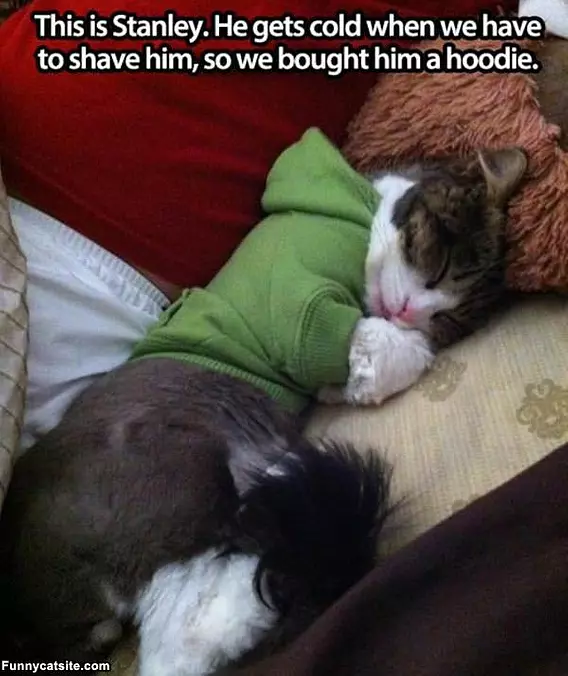 He Gets Cold