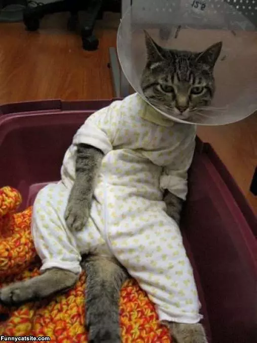 Had A Bad Day