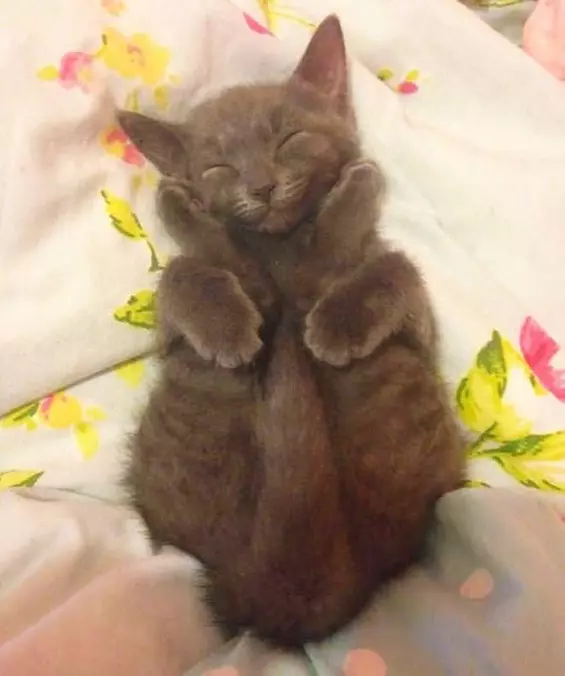 Sooooo Cuuuute