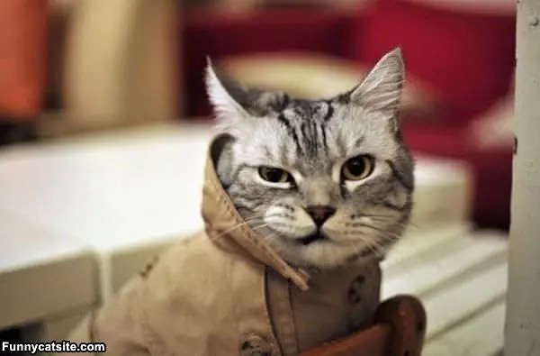 Protected From The Elements