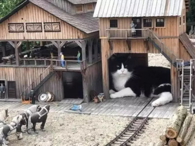 This Is My House Now
