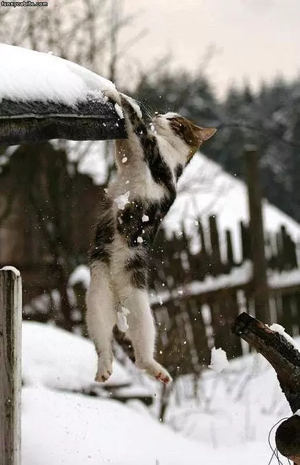Hold On