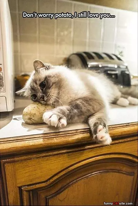 Dont Worry Potato