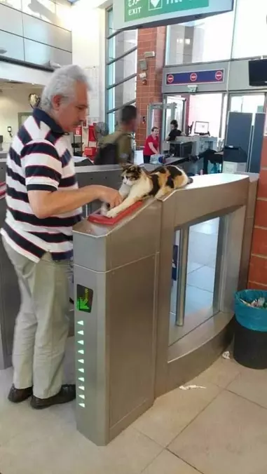 Checking Some Tickets