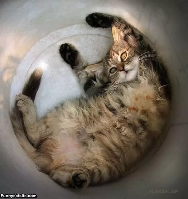 So Relaxed
