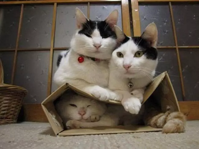 We Are Piling On