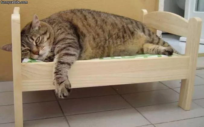 Nice Bed