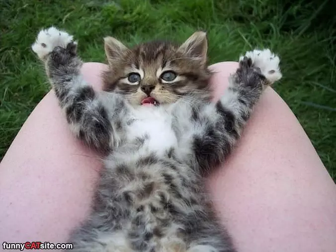 I Am Thiiiiiiis Big