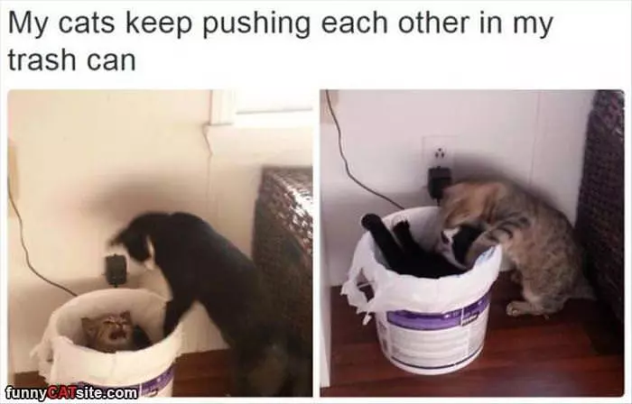 Pushing Each Other