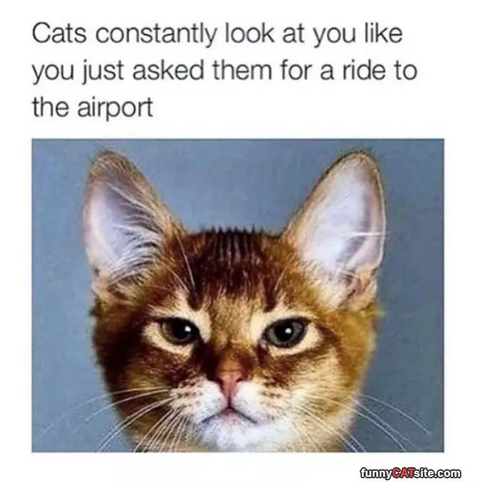 No Rides For You