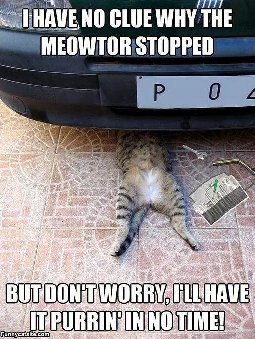Fixing The Car