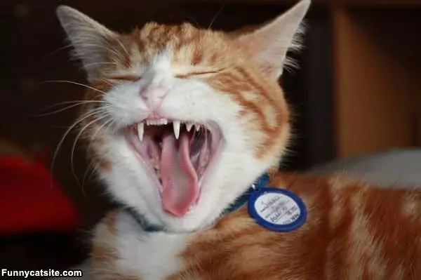 Rar