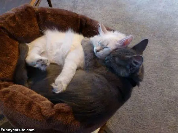 Keeping Each Other Warms
