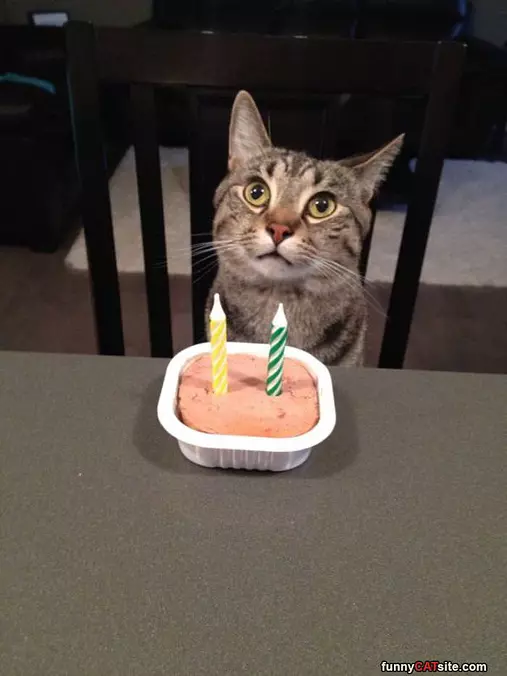 My 2nd Birthday