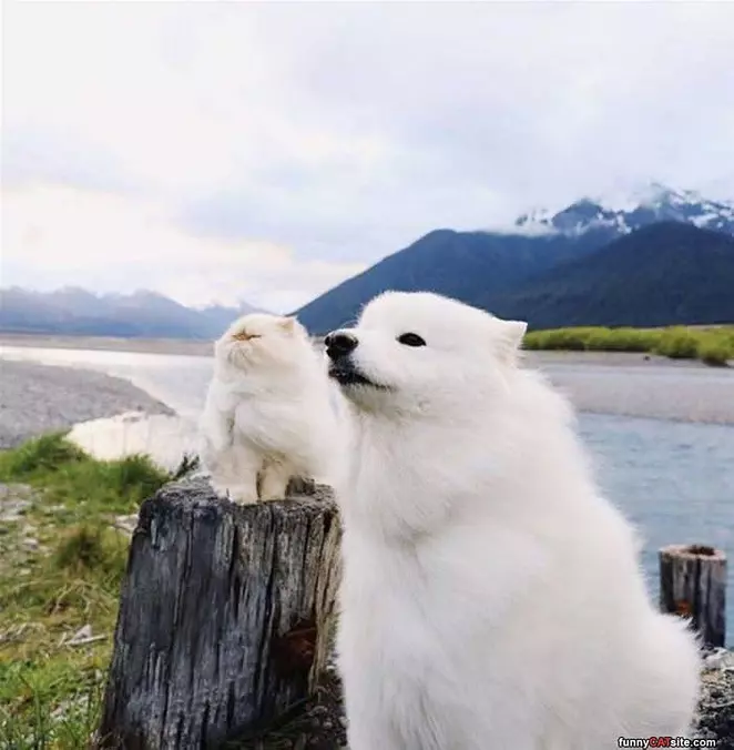 A Windy Day