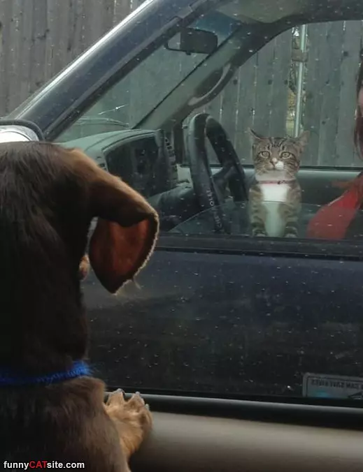 Hello Good Sir