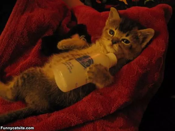 Just Chillaxing
