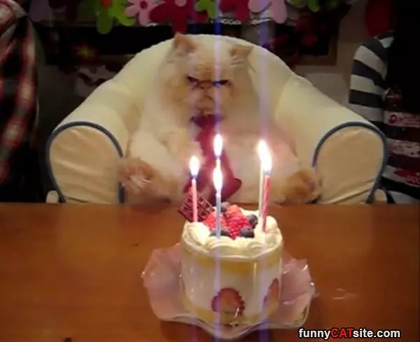 Happy Happy Birthday