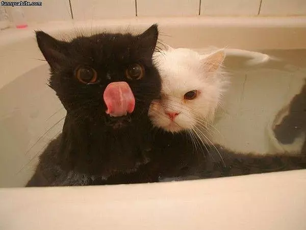 In The Tub